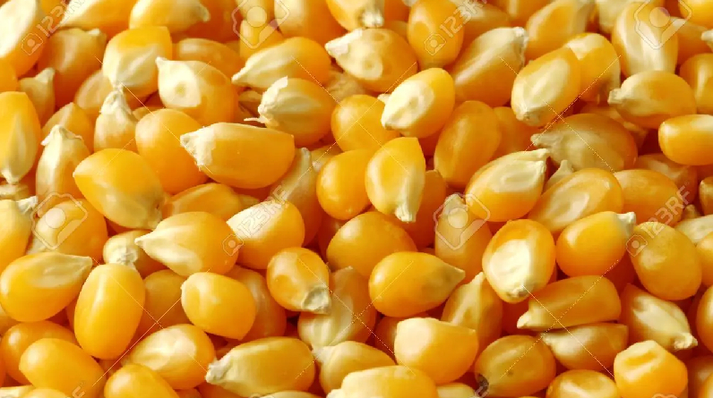 Let's start with the corn